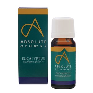 Absolute Aromas Eucalyptus Globulus Oil, 10ml