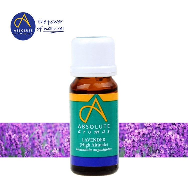 Absolute Aromas Lavender High Altitude Oil, 10ml