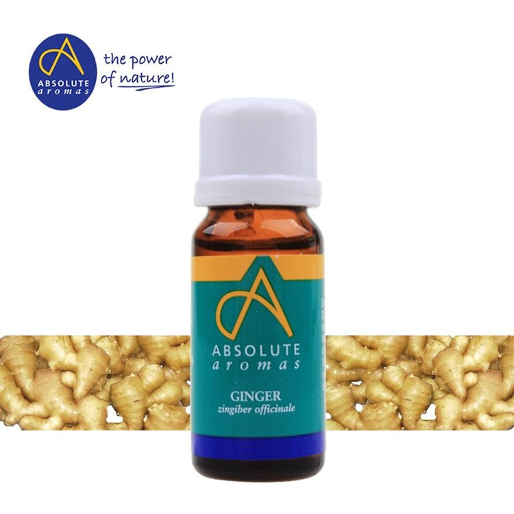 Absolute Aromas Ginger Oil, 10ml