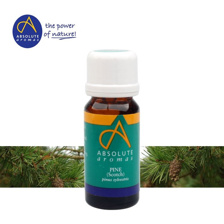 Absolute Aromas Pine (Scotch) Oil, 10ml