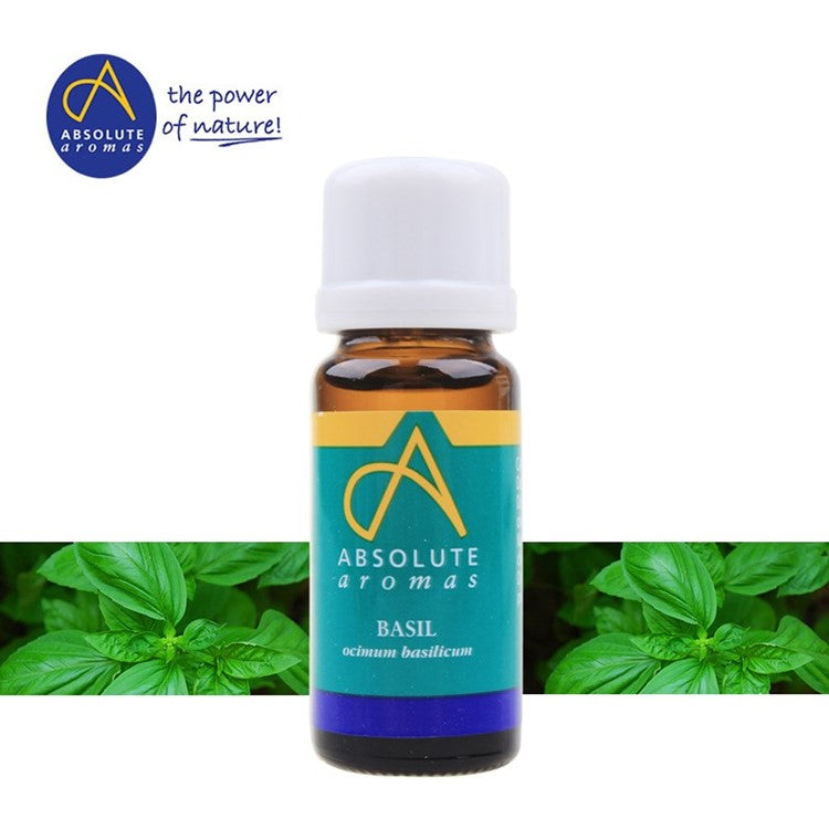 Absolute Aromas Basil Linalol Type Oil, 10ml